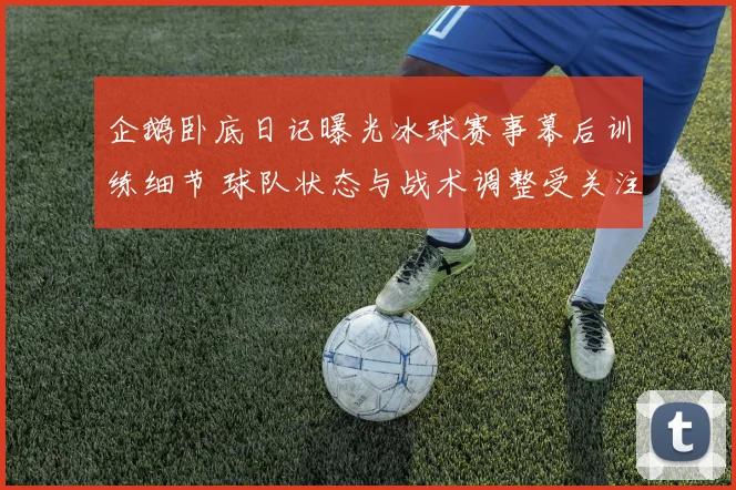 企鹅卧底日记曝光冰球赛事幕后训练细节 球队状态与战术调整受关注