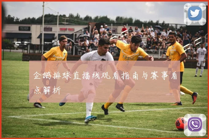 企鹅排球直播线观看指南与赛事看点解析
