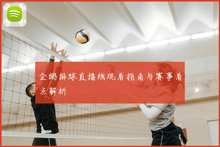 企鹅排球直播线观看指南与赛事看点解析