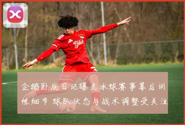 企鹅卧底日记曝光冰球赛事幕后训练细节 球队状态与战术调整受关注